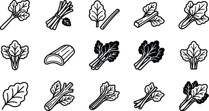 Variety of leafy vegetable line art.