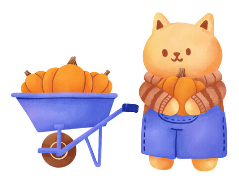 Watercolor illustration of cat picking, harvesting, and collecting a pile of pumpkins using wheelbarrow for pumpkin patch festival