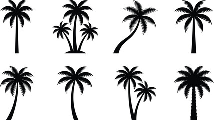 Fototapeta premium Black Silhouette Vector Collection of Palm Trees with Curved Trunks and Distinct Leaf Styles