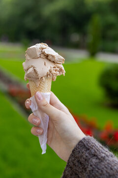 Hand holding an ice cream in front of a blooming rose garden on a warm summer day. Concept of summer vacation, leisure, carefree lifestyle and simple everyday happiness.