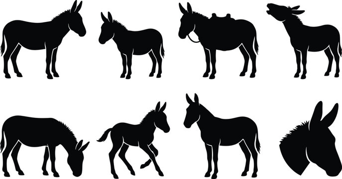 Donkey vector silhouettes set featuring farm animals, braying donkey, foal, and donkey head profile