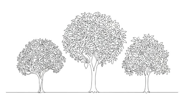 Continuous Simple black line art drawing set of mongo tree in a minimalist style on a white background.