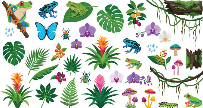 Tropical rainforest vector element set with exotic tree frogs bromeliads orchids monstera palm leaves mushrooms insects and vines