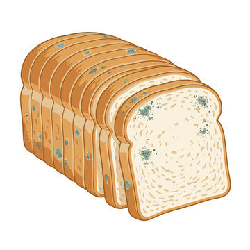 A loaf of sliced white bread with mold growing on it, indicating spoilage. The mold appears as green and blue spots on the bread slices