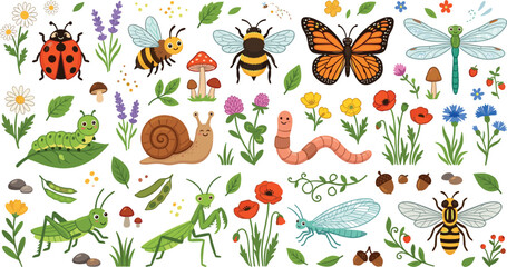 Cute cartoon backyard bugs and garden insects vector set with butterfly honeybee caterpillar ladybug snail and praying mantis © MstRahima