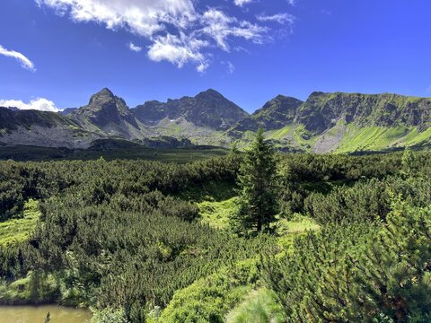 Dolina Gąsienicowa,  Tatry, Tatrzański Park Narodowy, TPN, Małopolska, Polska, Europa
