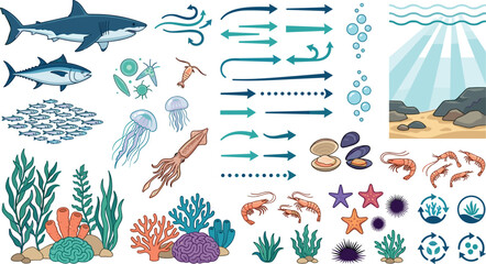 Marine ecosystem and ocean food chain infographic vector element set with shark predator tuna fish school jellyfish squid shrimp coral reef and seaweed © MstRahima