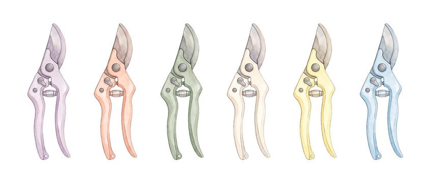 Watercolor garden shears pruners secateurs set of pastel colored hand painted bypass hand tools isolated on white background for florist, spring gardening, and outdoor hobby craft designs.