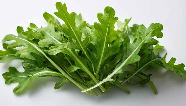 tender leaves of rocket lettuce against a white backdrop