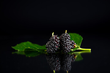 Fresh ripe mulberries with green leaves on black reflective background © Peredniankina