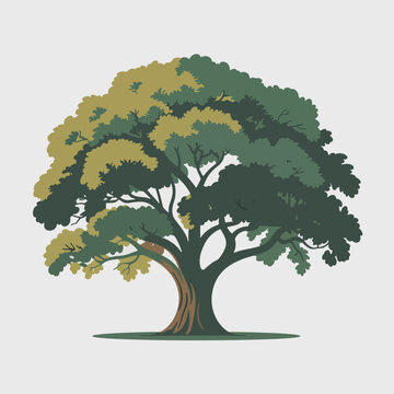 Stylized illustration of a large oak tree with green and yellow foliage