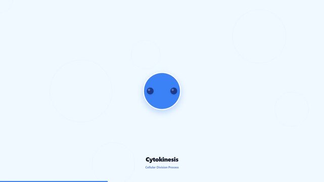 Animation of biological cell division and mitosis process