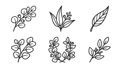 Fototapeta premium Assorted hand drawn botanical branches and decorative leaf sprigs with botanical illustration monochrome isolated collection ornament minimalist decorative creative composition greenery