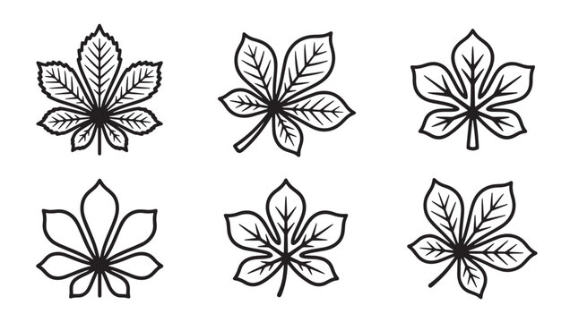 Hand drawn horse chestnut leaf collection icon set with chestnut botanical collection environment seasonal isolated illustration ornament decoration detailed structure