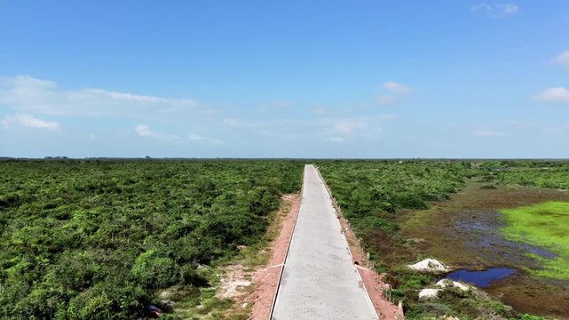 Drone perspective of a remote road cutting through Brazil's coastal scrubland.