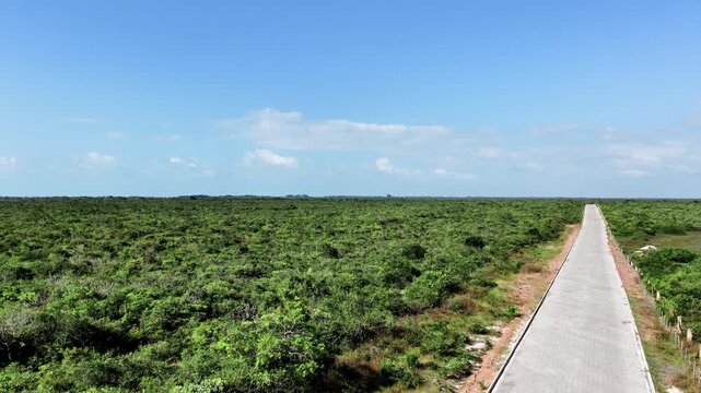 concrete road runs alongside dense green scrubland under a clear blue sky.
