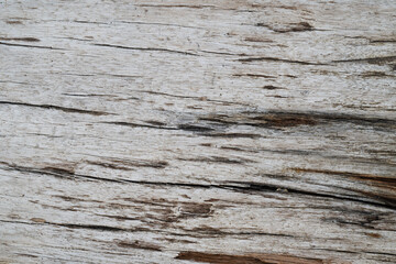 Naklejka premium Weathered wood grain texture background