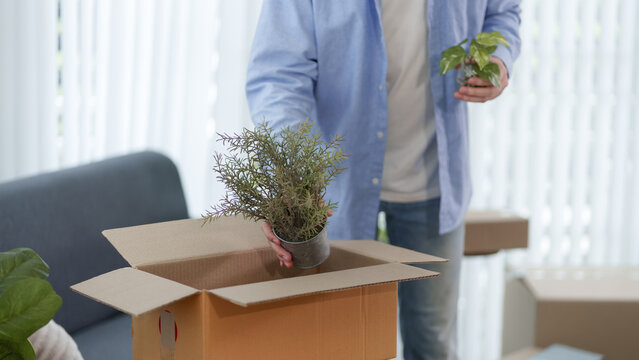 Asian man carefully unpacking potted plant from cardboard box during home relocation with copy space