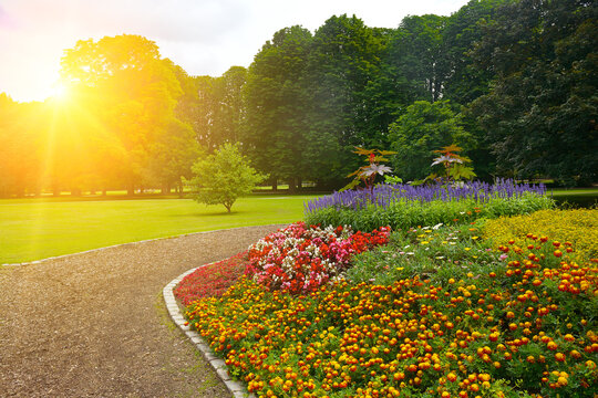 Vibrant Flowerbed Beside Curved Gravel Path In Scenic Public Park Landscape With Bright Sunlight Rays Backdrop.
