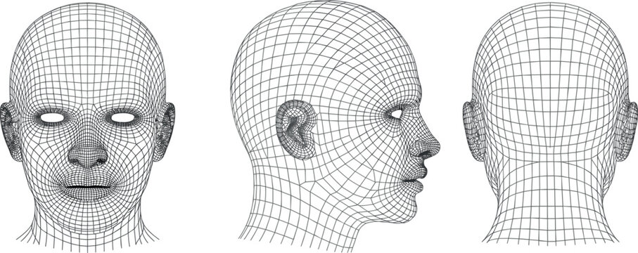 Abstract 3D wireframe vector illustration of human head, digital mesh model from front, side and back angles
