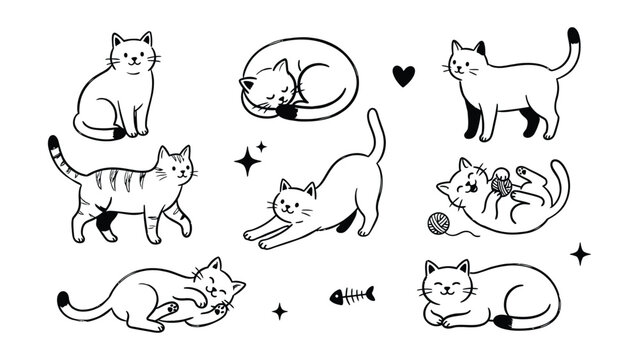 Cats Poses Doodle Set Vector Illustration