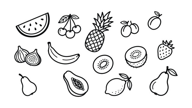 Fruit Set Doodle Sketch Vector Illustration