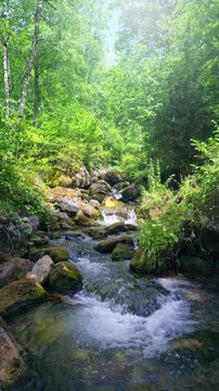 Fresh water of mountain stream flowing in summer. Trout fishing. Ariege Pyrenees France