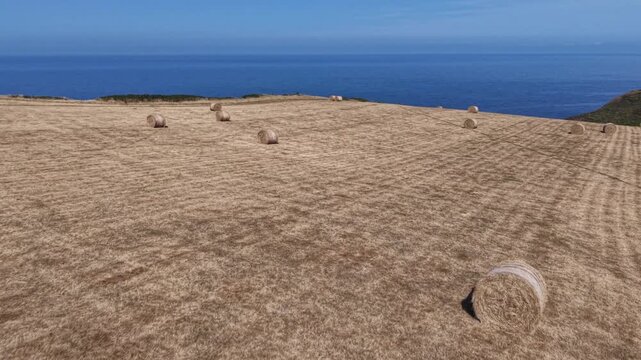 Drone flight overlooking sea from harvester straw bale fild