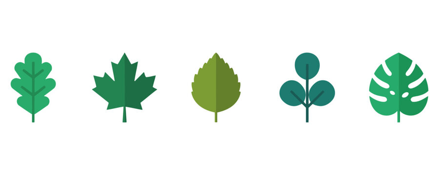 A collection of five different green leaf illustrations featuring various botanical shapes including oak maple aspen clover and monstera leaves on a plain white background