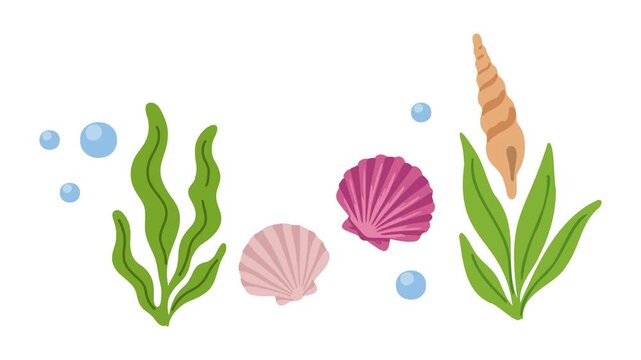 Animation of seashells and sea plants