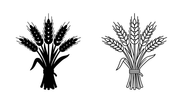 Sheaves Of Wheat Silhouette On White Background Agricultural Illustration