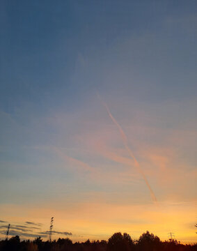 Golden sunset sky with soft pastel colors and delicate airplane contrails above the forest. Peaceful evening landscape with warm horizon light, natural beauty, serene atmosphere, and copy space. Verti