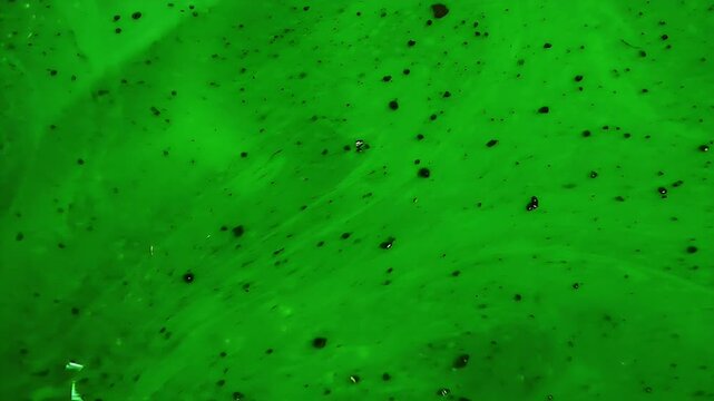 Abstract overhead green liquid texture with dark particles and fluid organic swirls captured in vibrant high resolution