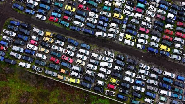 Rows of colorful wrecked cars. Top down aerial capture of vehicles sorted by color along a narrow dividing dirt road.