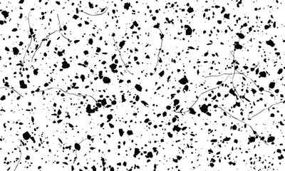 Fototapeta premium Black ink splatters on white background with fine organic lines abstract texture for graphic design backgrounds