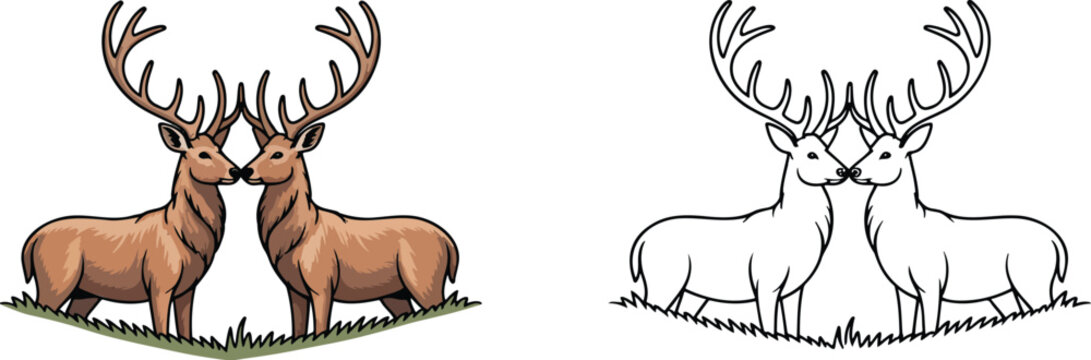 Two deer standing illustration & outline set isolated on transparent background 