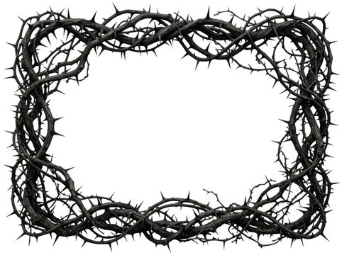 Black thorny branches frame isolated on transparent background. Dark gothic border concept for spooky designs.