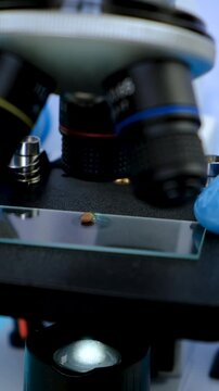 The tick laboratory is conducting an analysis. Selective focus.