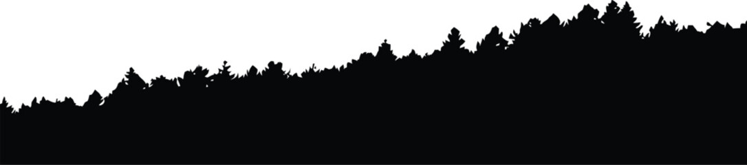 Black silhouette of pine trees against forest © MD MOZAMMEL HAQUE