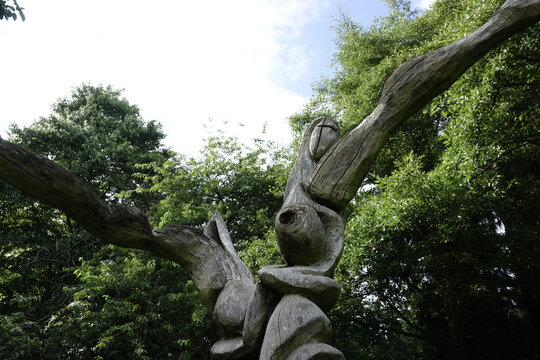 Abstract wooden sculpture carved from a tree trunk in a lush forest park