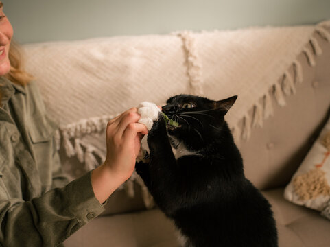 Woman feeding her cat on couch at home 