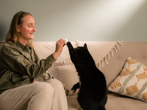 Woman Plays With Cat on Couch in Cozy Living Room