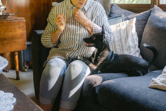 smiling woman playing with her dog on her couch 