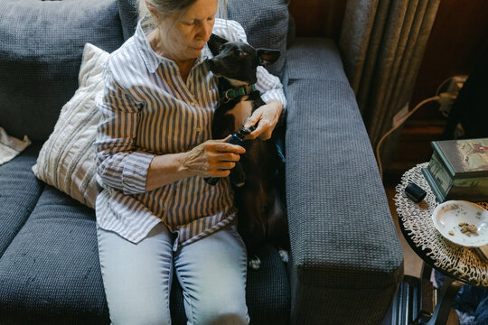 woman trimming nails of her dog 