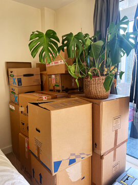 Packing For A House Move In Occupied Bedroom