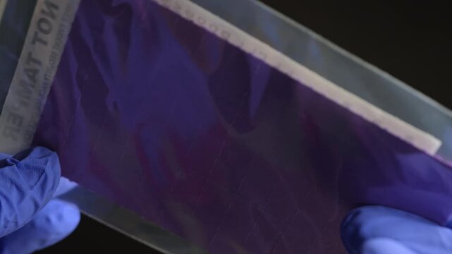Forensic in blue gloves examination LSD acid confiscation. Laboratory set police investigator. Seized illegal drugs. Forensic science criminalist. Crime scene hallucinogenic substance evidence.