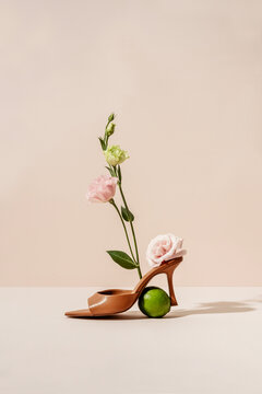 Brown mules