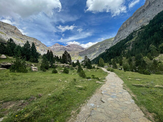 Grassy hiking trail in Parque Nacional de Ordesa y Monte Perdido, mountain valley with conifer trees © Tigarto