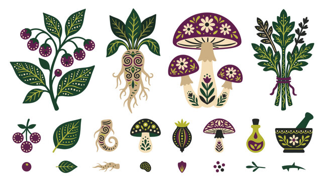 Folk Art Botanical Illustration Set with Mandrake Mushrooms and Alchemy Tools Isolated