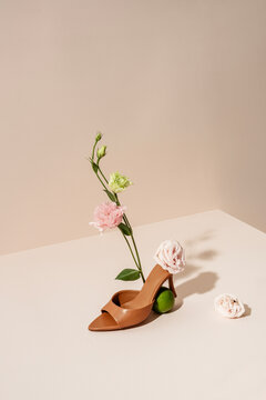 Brown mules